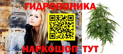 каннабис Нальчик