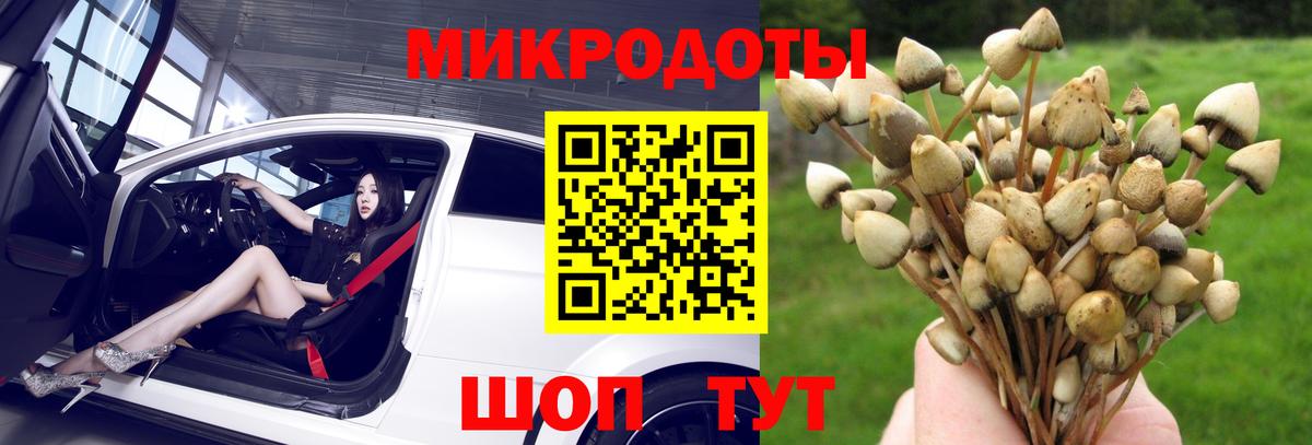 Унеча  Галлюциногенные грибы ЛСД  Вход с VPN 